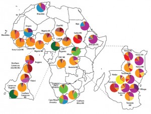 Massive study of African genetic diversity, Tishkoff's map (Science blogs)
