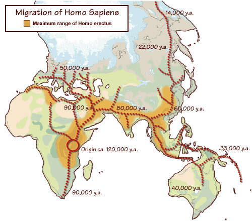 Cronología de la colonización de Europa por parte del homo sapiens. Fuente Handprint.com